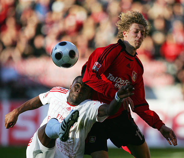 性与专业能 性与专业能